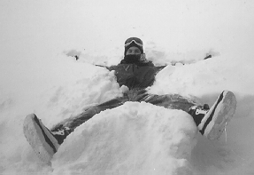 cameorninsnow.gif