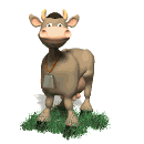 cow.gif