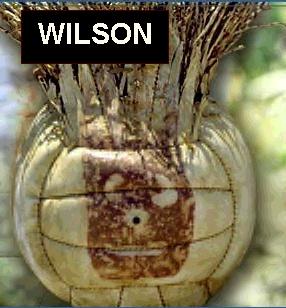 wilson2.jpg